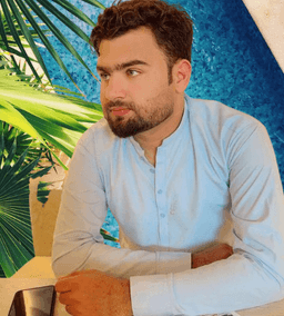 Mr. Ameer Hamza